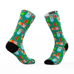 Corgi Watermelon Socks