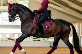 EQUESTRIAN STOCKHOLM DRESSAGE SADDLE PAD NEW MAROON FULL